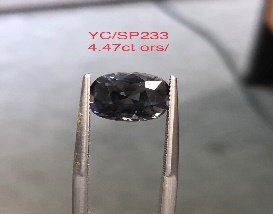 YC/SP233