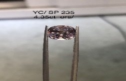 YC/SP235