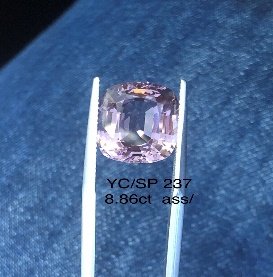 YC/SP236