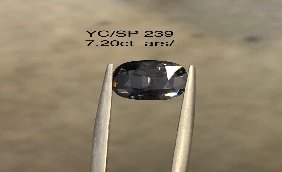 YC/SP239