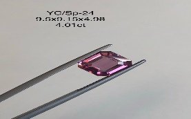 YC/SP24