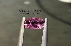 YC/SP244