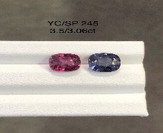 YC/SP245
