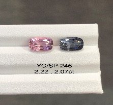YC/SP246