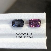 YC/SP247