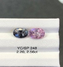 YC/SP248