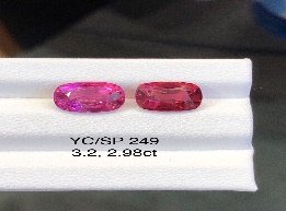 YC/SP249