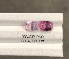 YC/SP250