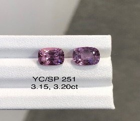 YC/SP251