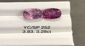 YC/SP252