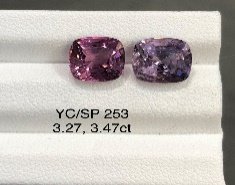 YC/SP253