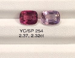 YC/SP254