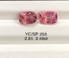 YC/SP255