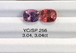 YC/SP256