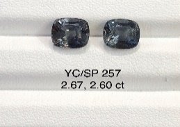 YC/SP257