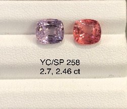 YC/SP258