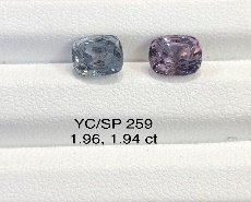 YC/SP259