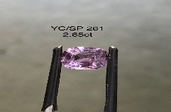 YC/SP261