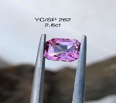 YC/SP262