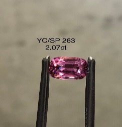YC/SP263