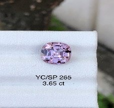 YC/SP265