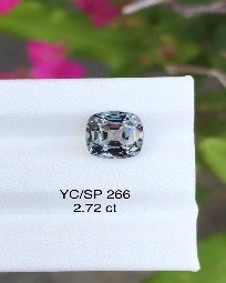 YC/SP266