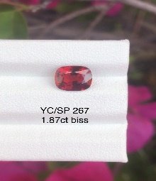 YC/SP267