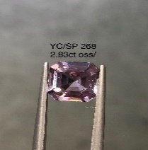 YC/SP268