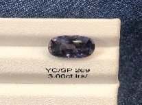 YC/SP269