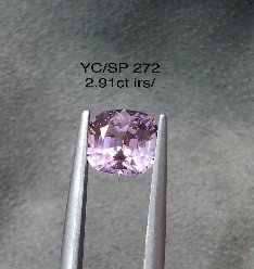 YC/SP272