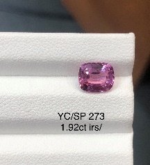 YC/SP273