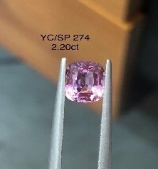 YC/SP274