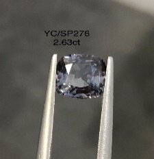YC/SP276