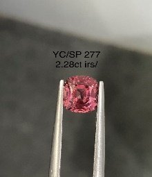 YC/SP277
