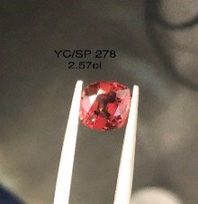 YC/SP278