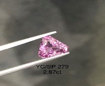 YC/SP279