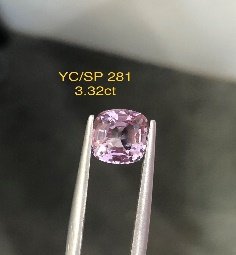 YC/SP281