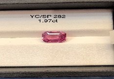 YC/SP282