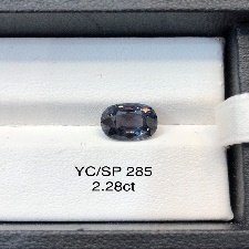 YC/SP285