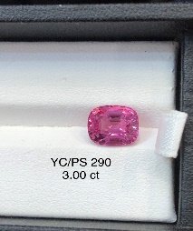 YC/SP290
