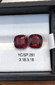 YC/SP291