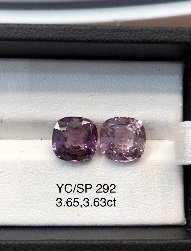 YC/SP292