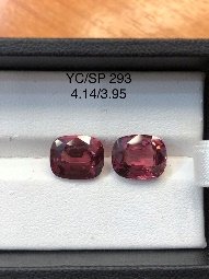 YC/SP293