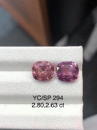 YC/SP294