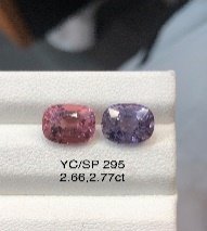 YC/SP295