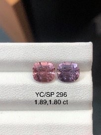 YC/SP296