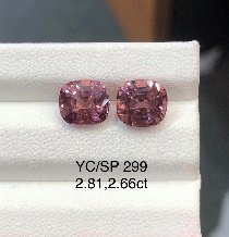 YC/SP299