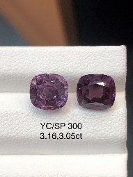YC/SP300