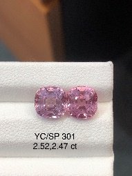 YC/SP301