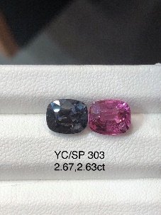 YC/SP303